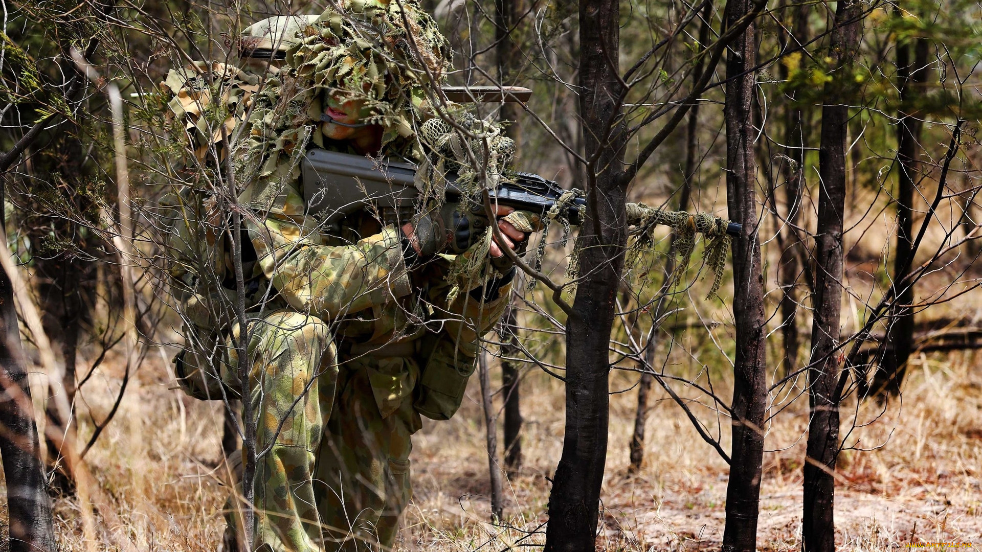 , , , camouflage, soldier, australian, army, sniper, forest